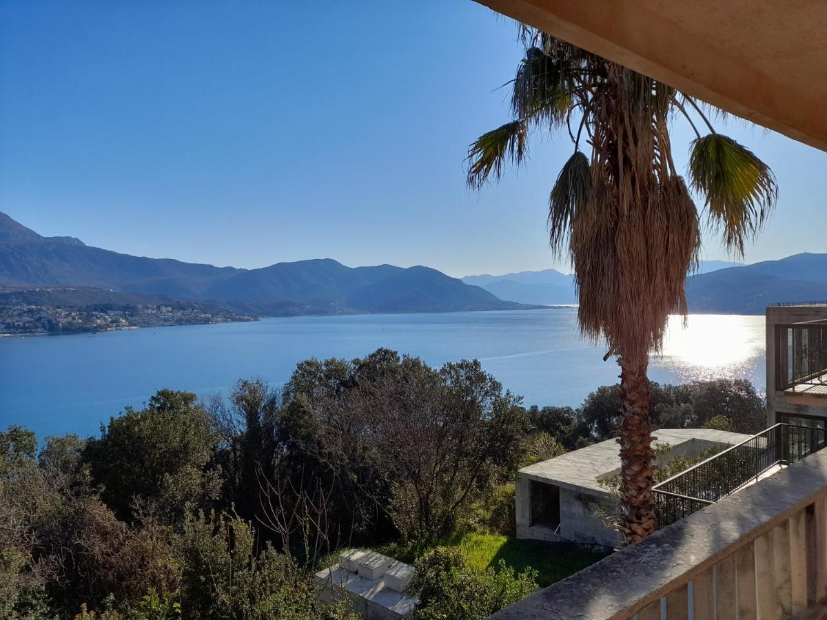 Villa Garden Apartments Herceg Novi Kültér fotó