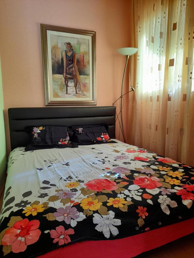 Villa Garden Apartments Herceg Novi Kültér fotó