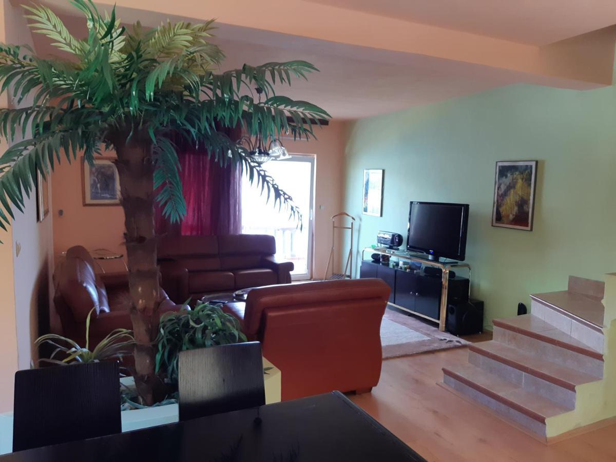 Villa Garden Apartments Herceg Novi Kültér fotó