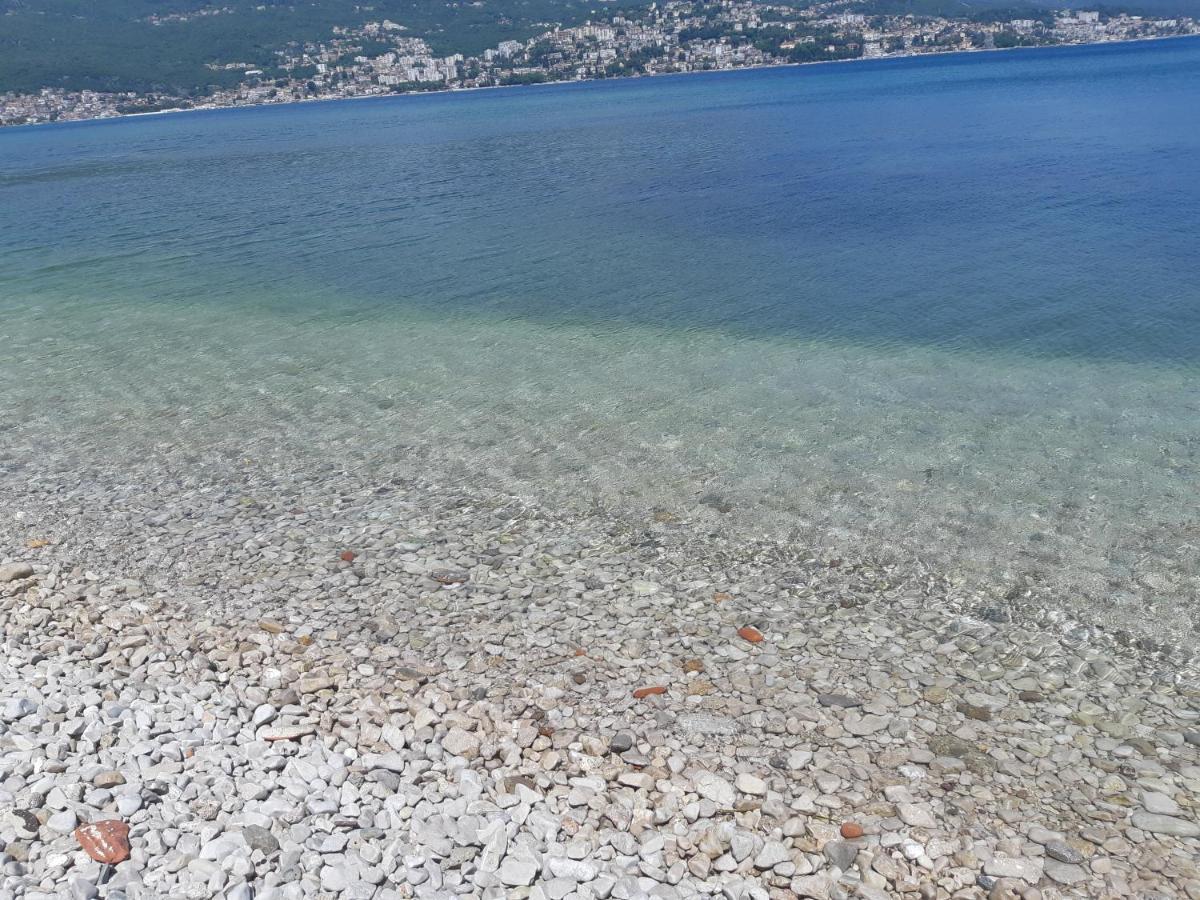 Villa Garden Apartments Herceg Novi Kültér fotó