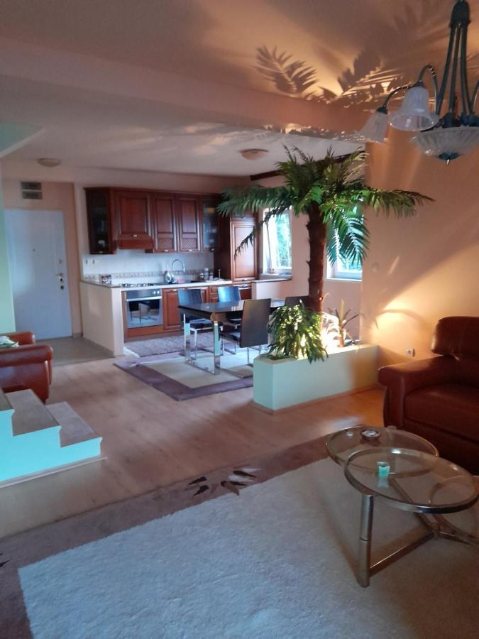 Villa Garden Apartments Herceg Novi Kültér fotó